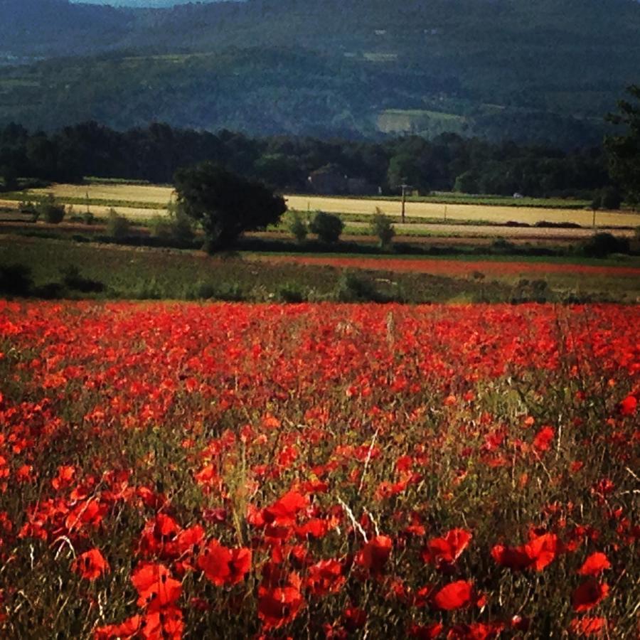 Le Mas De La Glycine Roussillon en Isere Exteriér fotografie